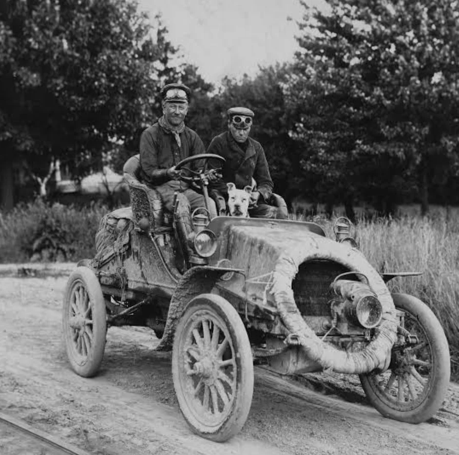 图片[15]-特斯拉FSD首次横穿美国，Model3实现1万英里零干预，马斯克预言兑现了-AI Express News