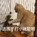 图片[2]-10个办公必备的AI神器，搞定你90%的工作，强烈建议收藏！-AI Express News