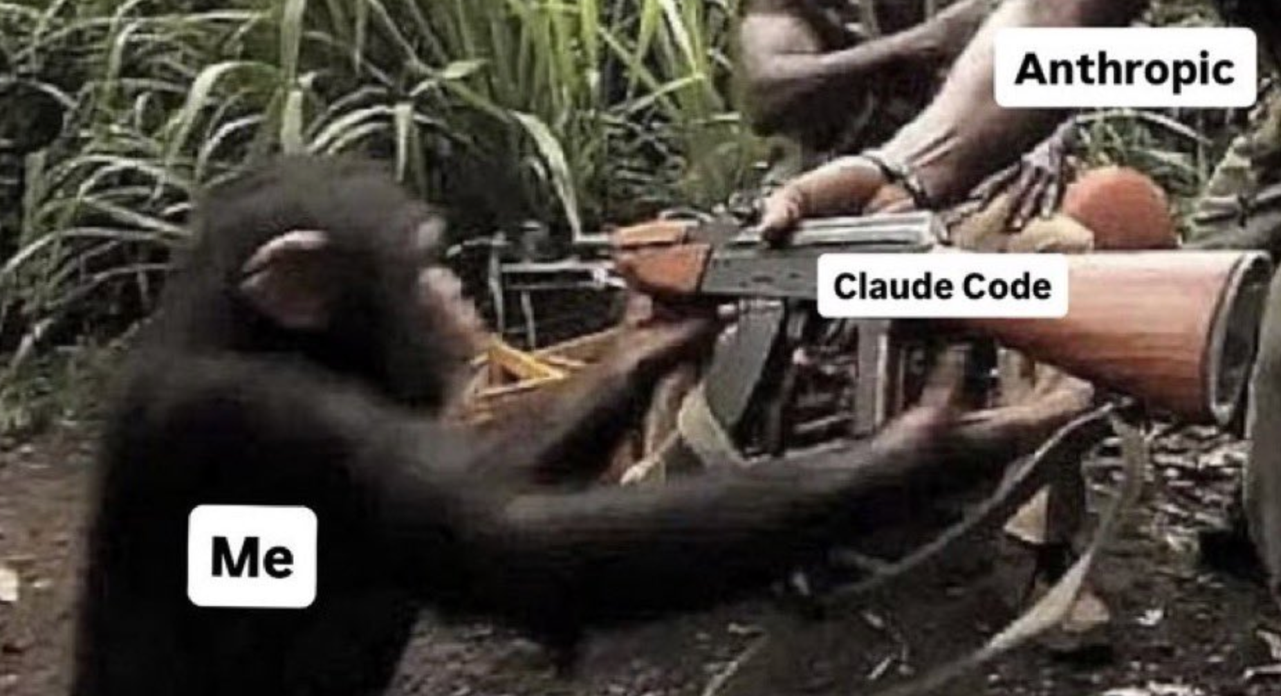 图片[12]-再见，程序员！马斯克宣判：奇点就在2026-AI Express News