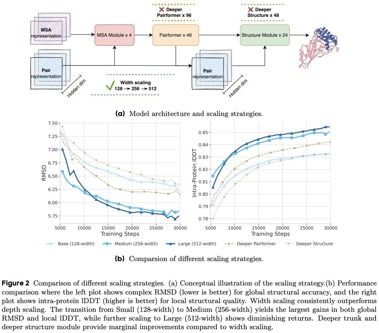 图片[3]-超越AlphaFold3，实现模型容量的规模化扩展，字节提出分子结构预测模型SeedFold-AI Express News