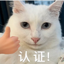 图片[23]-WPS+NanoBanana王炸组合！图片一键转PPT，效率提升200%！-AI Express News