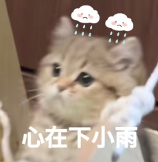 图片[7]-训具身模型遇到的很多问题，在数据采集时就已经注定了丨鹿明联席CTO丁琰分享-AI Express News