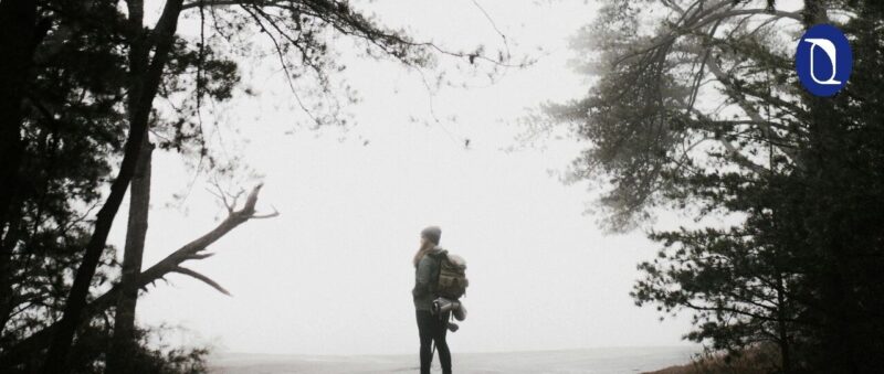 2025年意识科学十大前沿进展-AI Express News