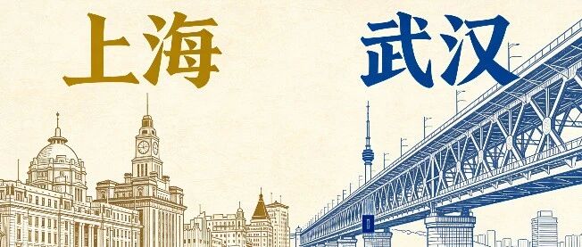 上海、武汉建设“五个中心”比较分析！-AI Express News