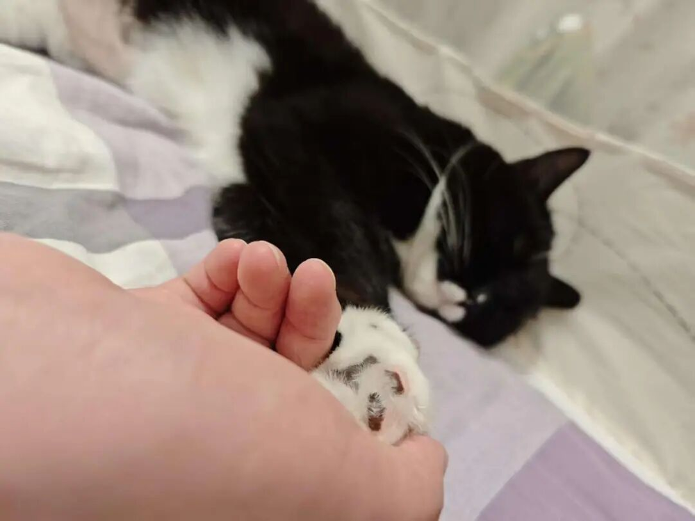 图片[2]-被多少人当成救命稻草的职业，正在经历大规模“塌房”-AI Express News