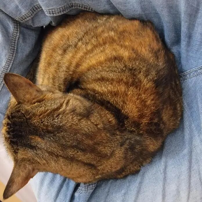 图片[3]-被多少人当成救命稻草的职业，正在经历大规模“塌房”-AI Express News