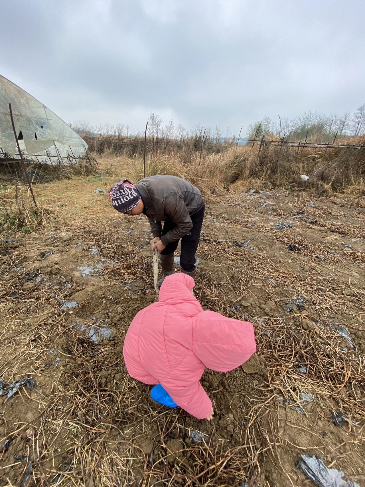 图片[11]-AI 时代，孩子想要改变世界的野心，比知识库存重要一万倍。-AI Express News