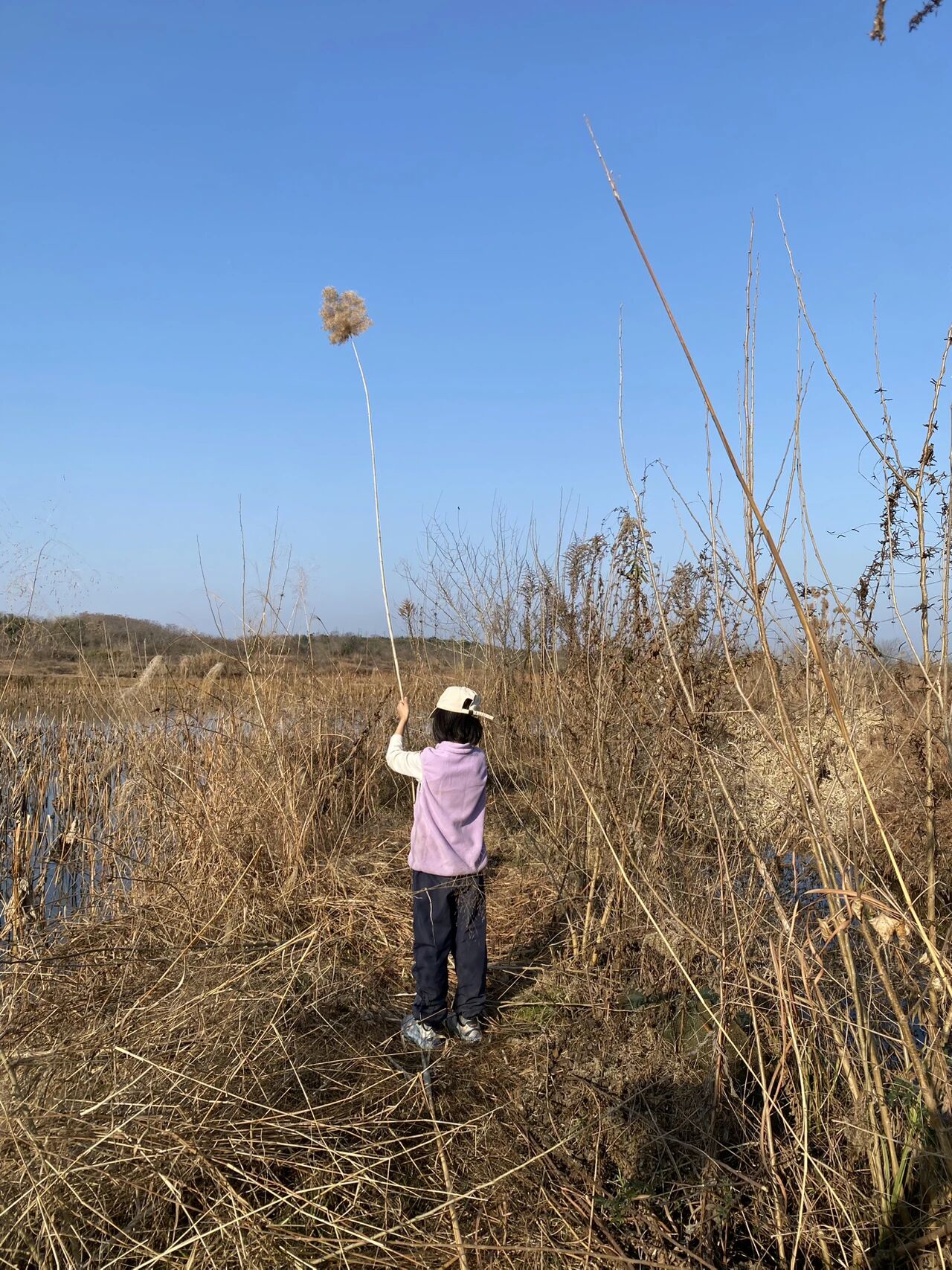 图片[13]-AI 时代，孩子想要改变世界的野心，比知识库存重要一万倍。-AI Express News