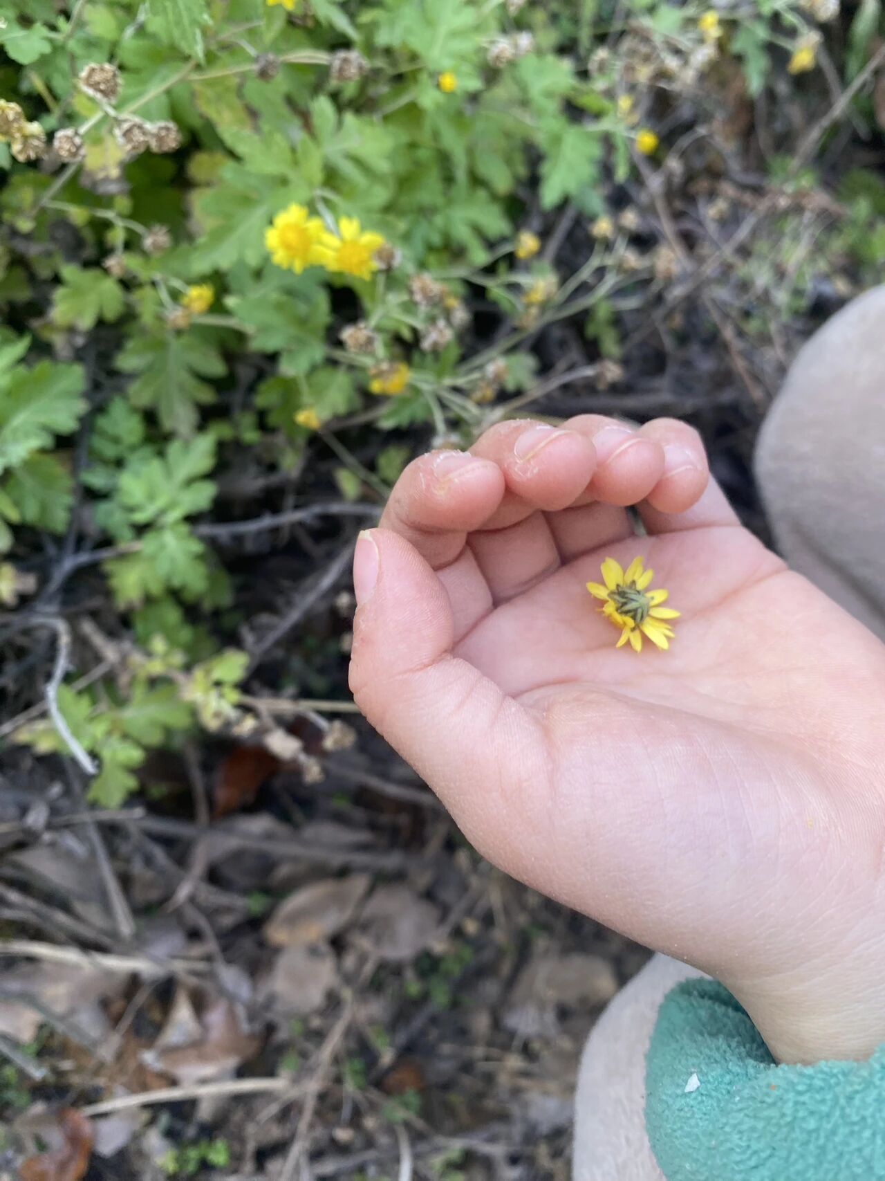 图片[15]-AI 时代，孩子想要改变世界的野心，比知识库存重要一万倍。-AI Express News