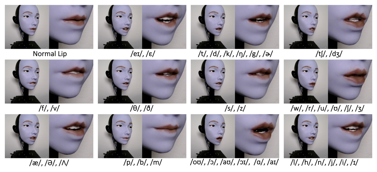 图片[4]-人脸机器人登上Science Robotics封面：用AI教会仿生人脸机器人「开口说话」-AI Express News