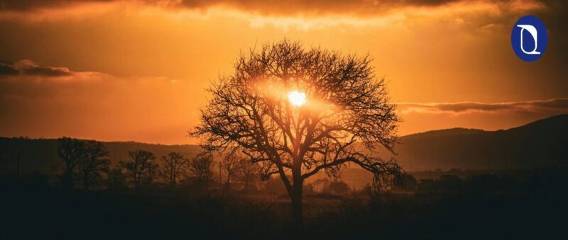 AI发现的25个好故事-AI Express News