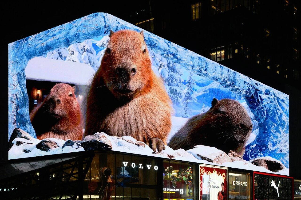 图片[1]-让裸眼3D不眩晕！26岁中国博士生破解“不可能三角”-AI Express News