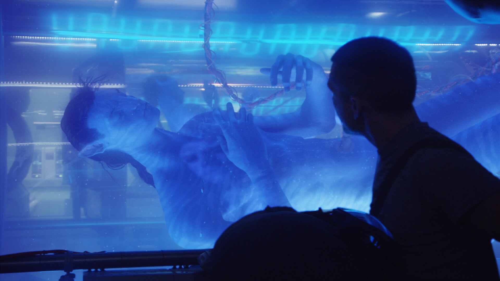 图片[24]-马斯克「脑机第一人」首爆！不开颅在线升级，永生代码已写入-AI Express News