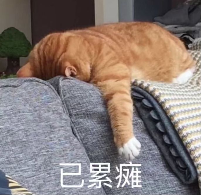 图片[4]-AI的尽头，是电工（doge）-AI Express News