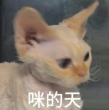 图片[4]-全球首个负载100斤的真实持续干活机器人，来自银河通用-AI Express News