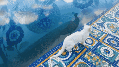 图片[13]-火爆全网的Skills，终于有了最简单的打开方式。-AI Express News