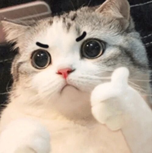 图片[14]-首个真正“能用”的LLM游戏Agent诞生！可实时高频决策，思维链还全程可见-AI Express News