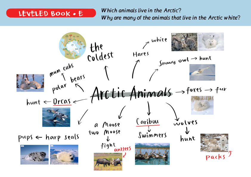 图片[5]-有这套RAZ思维导图，之前读不懂的地方全理顺了！-AI Express News