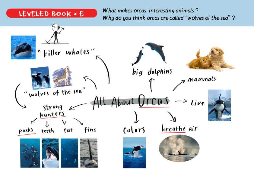 图片[6]-有这套RAZ思维导图，之前读不懂的地方全理顺了！-AI Express News