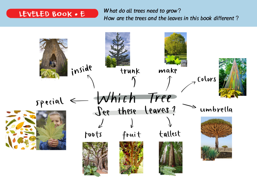 图片[7]-有这套RAZ思维导图，之前读不懂的地方全理顺了！-AI Express News