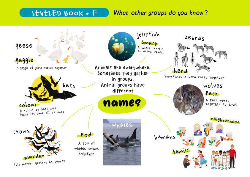 图片[8]-有这套RAZ思维导图，之前读不懂的地方全理顺了！-AI Express News