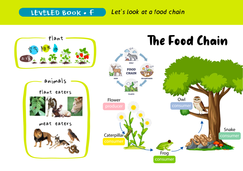 图片[9]-有这套RAZ思维导图，之前读不懂的地方全理顺了！-AI Express News