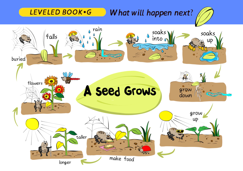 图片[12]-有这套RAZ思维导图，之前读不懂的地方全理顺了！-AI Express News