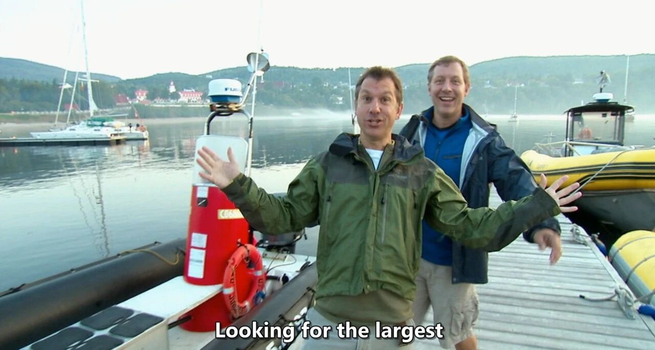 图片[3]-风靡全球！170多集美国野外探险科普动画，带孩子开启奇妙的野生动物世界冒险！-AI Express News