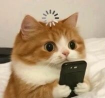 图片[5]-57.1%的人分不清真假！Runway新视频模型太爆炸-AI Express News