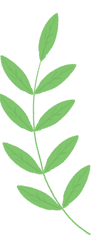 图片[3]-2025蛇年年终总结：从AIPractiX到NovaOrbit-AI Express News