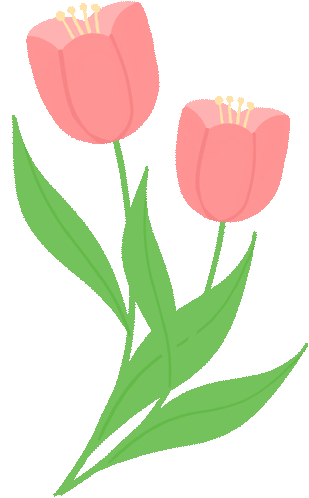 图片[6]-2025蛇年年终总结：从AIPractiX到NovaOrbit-AI Express News