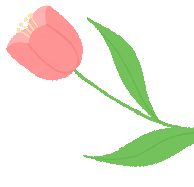 图片[9]-2025蛇年年终总结：从AIPractiX到NovaOrbit-AI Express News