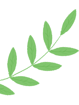 图片[10]-2025蛇年年终总结：从AIPractiX到NovaOrbit-AI Express News