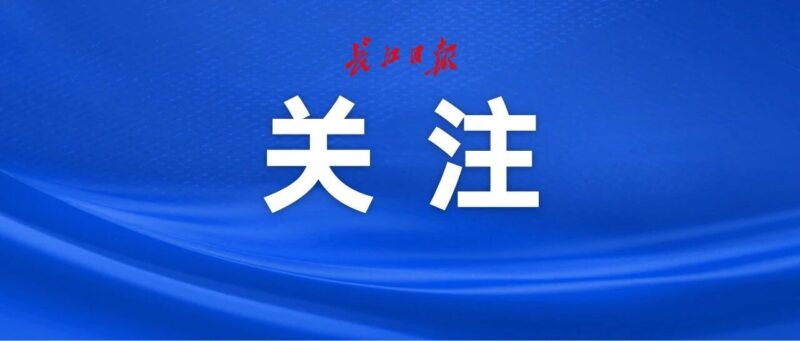 “一人公司”估值上亿元，武汉已出现！-AI Express News