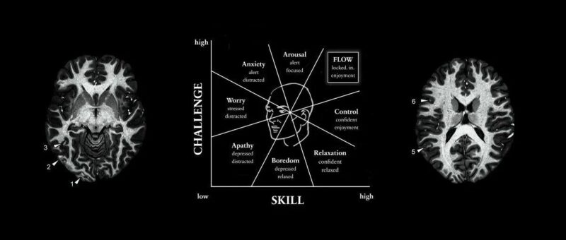 Dan Koe：每天专注一小时，真的可以把人生掰回来-AI Express News