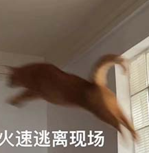 图片[15]-全球最强AI音乐模型，现在来自中国！高晓松也来围观了-AI Express News