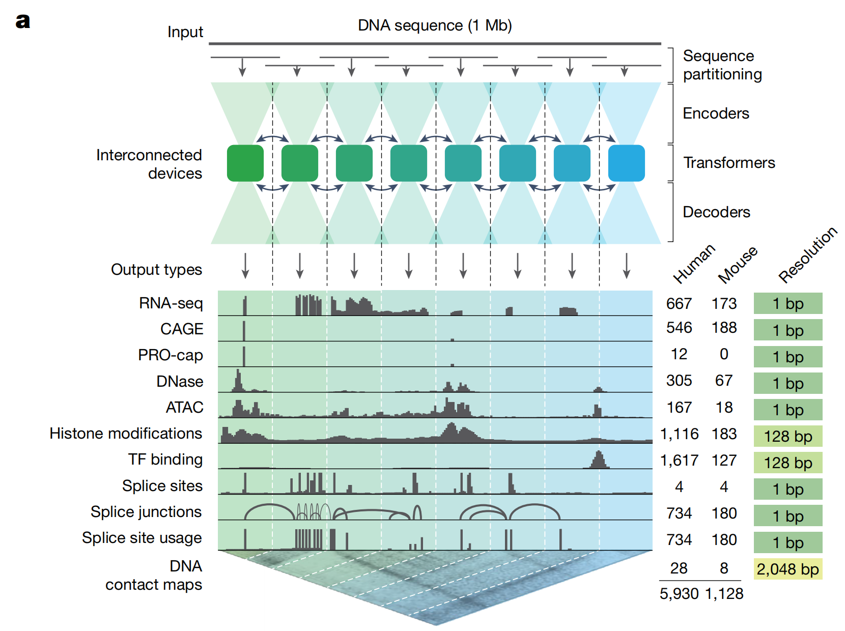 图片[15]-刚刚，谷歌DeepMind登Nature封面！人类40亿年生命代码「开源」了-AI Express News