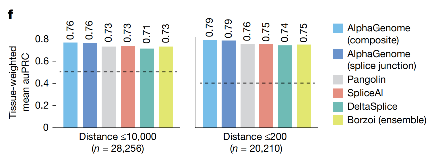 图片[17]-刚刚，谷歌DeepMind登Nature封面！人类40亿年生命代码「开源」了-AI Express News