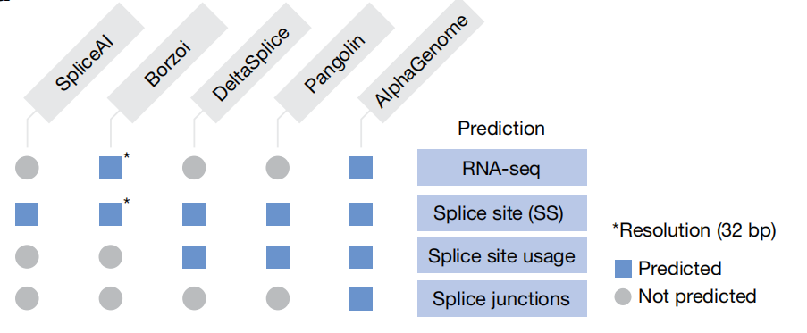 图片[5]-Nature最新封面：谷歌Alpha系列新成员，“秒懂”生命终极蓝图！-AI Express News