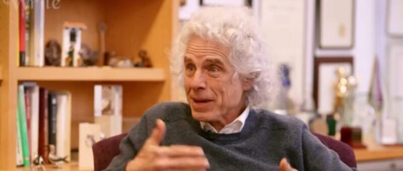 哈佛大神Pinker教授谈“AI写作”,及从海量输入中“提取模式”的能力-AI Express News