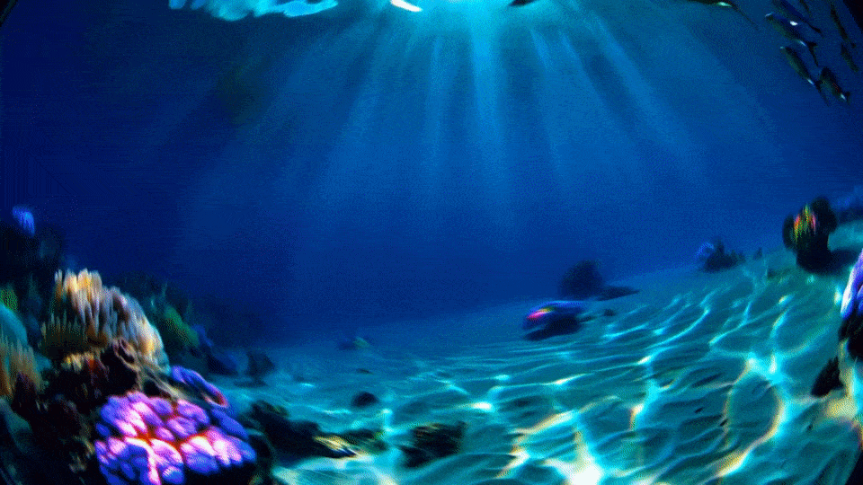 图片[16]-马斯克还在卷10秒，中国AI直接掀桌！16秒一镜到底，全球唯一-AI Express News