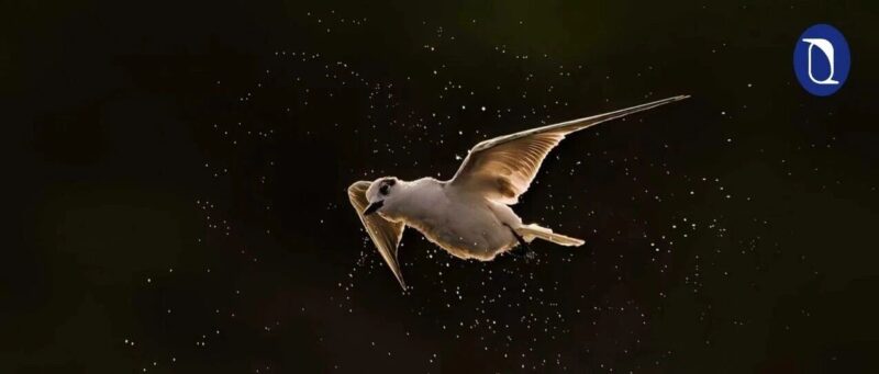 AI是人的延伸，人是AI的尺度-AI Express News