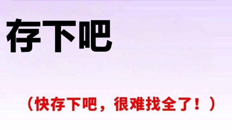 谁懂啊!终于等到把NotebookLM讲透的手册了!-AI Express News