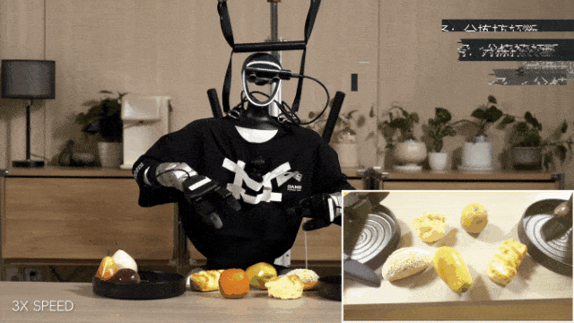 图片[5]-机器人长出800个心眼？阿里达摩院开源具身新大脑，硅谷又坐不住了-AI Express News