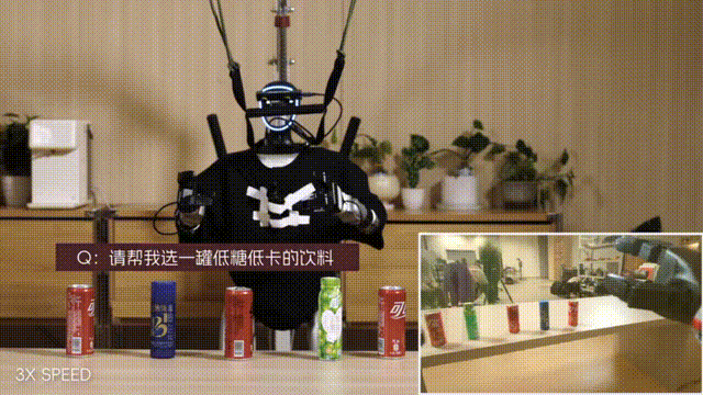 图片[9]-机器人长出800个心眼？阿里达摩院开源具身新大脑，硅谷又坐不住了-AI Express News