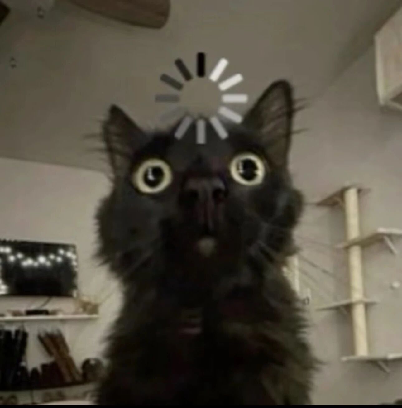 图片[6]-中文版Nano Banana来了？Qwen-Image-2.0炸场：1K长文本硬吃，中文生图彻底不拧巴了-AI Express News