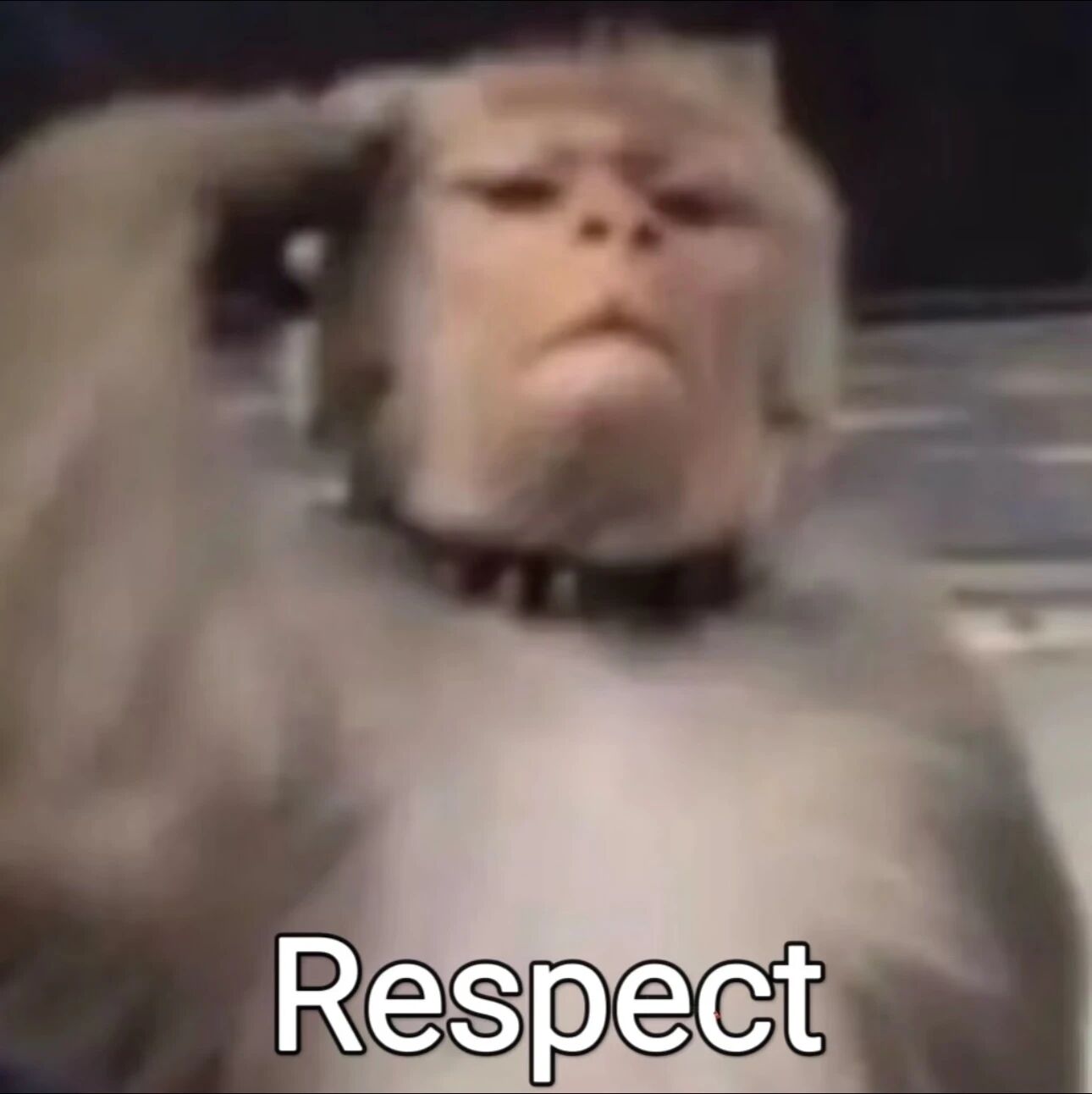 图片[15]-中文版Nano Banana来了？Qwen-Image-2.0炸场：1K长文本硬吃，中文生图彻底不拧巴了-AI Express News