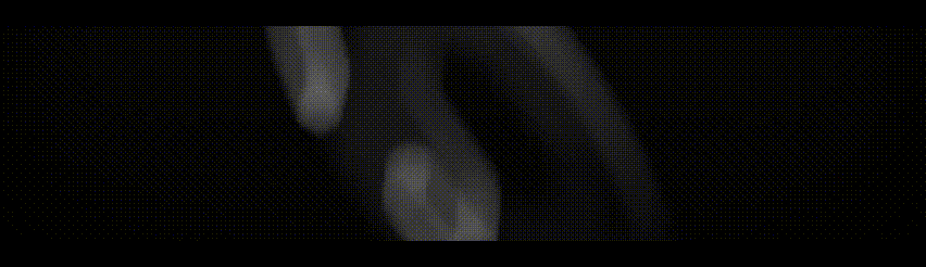 图片[1]-十公斤纯金冠军腰带，价值千万！全球首个人形机器人格斗联赛 URKL 重磅启幕-AI Express News