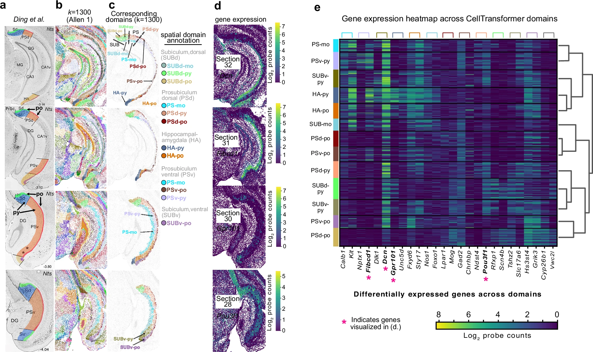 图片[5]-人类画了100年的脑图，AI仅用几小时！还绘制出新脑区-AI Express News