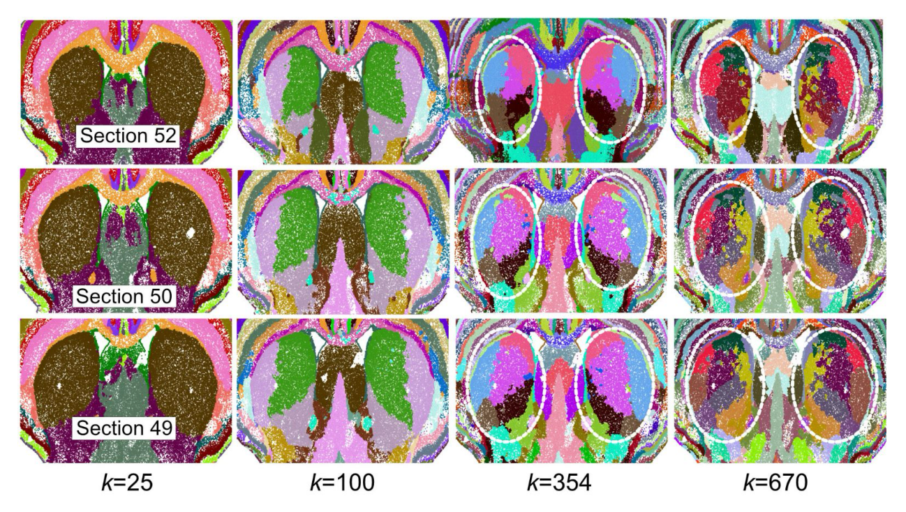 图片[6]-人类画了100年的脑图，AI仅用几小时！还绘制出新脑区-AI Express News